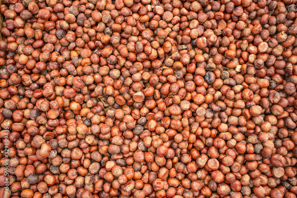 Brown chestnut texture Brown chestnut texture