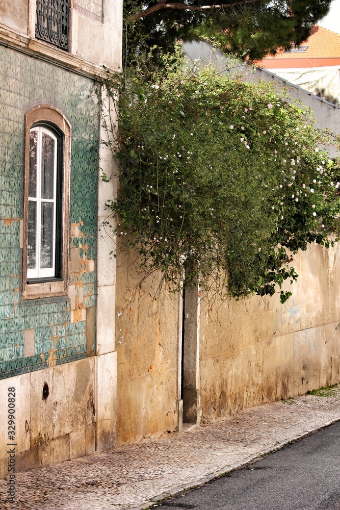 Fototapeta premium Old and colorful facade in Lisbon