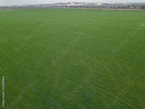 Aerial drone shot of green spring meadow. 
