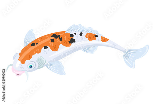 White Japanese koi carp with red and black spots. Isolated on a white background. Vector illustration.