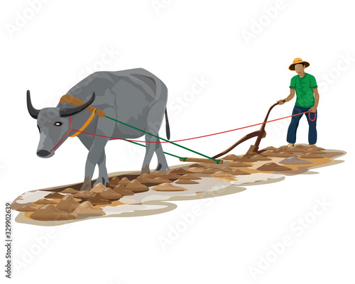 farmer plow in paddy field vector design