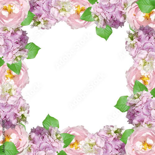 Wallpaper Mural Beautiful floral pattern of pelargonium and rose. Isolated Torontodigital.ca