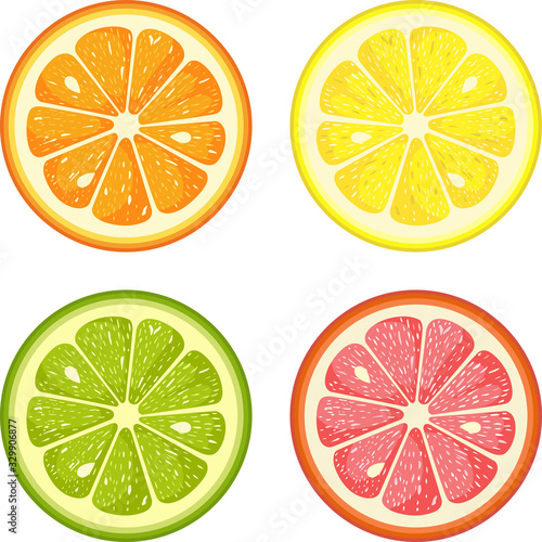 Citrus fruit round slices isolated on white