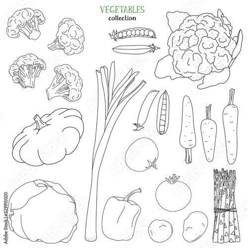 Set with vegetables. Black outline on a white background.