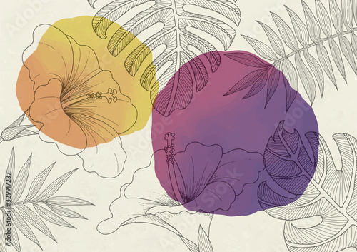 Botanical hibiscus and leaf line drawing and watercolor design