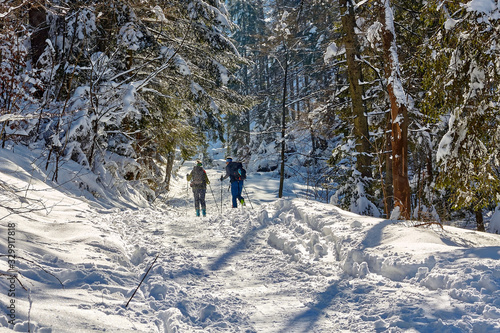 Couple ski touring in Mala Laka Valley (Dolina Małej Łąki) nearby Zakopane in Tatra mountains, Poland.