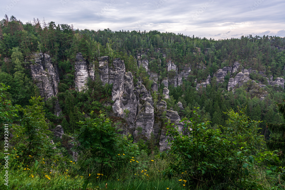 Obraz premium Lots of rocks in Saxon Switzerland near Dresden