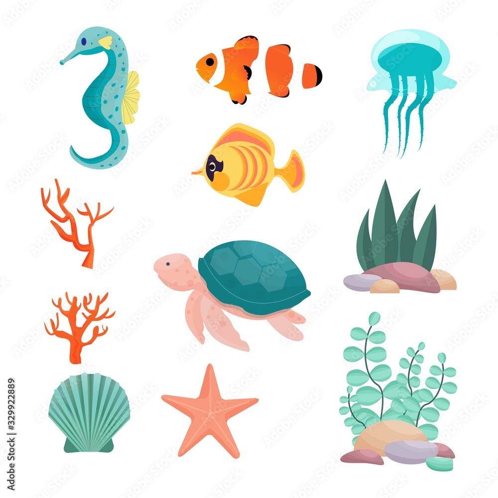 Set from seahorse, turtle, exotic fish, clown fish, jellyfish, starfish, seashell, corals, underwater plants in vector design. Isolated objects on white background. Set from seahorse, turtle, exotic fish, clown fish, jellyfish, starfish, seashell, corals, underwater plants in vector design. Isolated objects on white background.