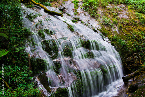 Small waterfall is in the  forest  .