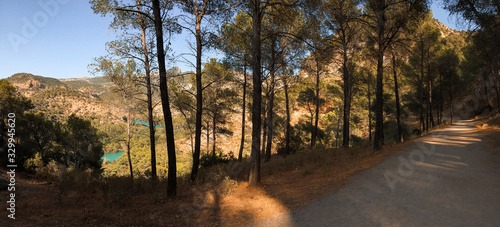Elevated view through the treetops trails of the king's path.