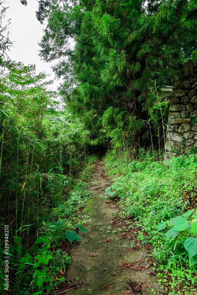 Fototapeta premium 山道