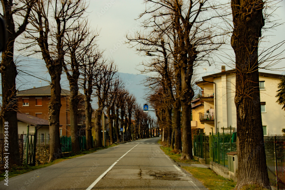 Tree-lined street - Lake Como - Varenna - Italy