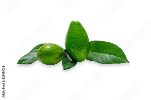 Wallpaper Mural Avocado fruits Persea americana white background studio photo shoot Torontodigital.ca