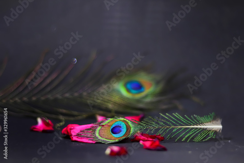 peacock tail on black background,Rose petals on black background,Rose petals ,rose petals and peacock feathers beautiful view,