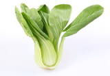 Chinese cabbage vegetable on a white background.
