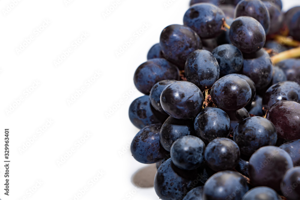 Bunches of dark grapes isolated on white background Bunches of dark grapes isolated on white background