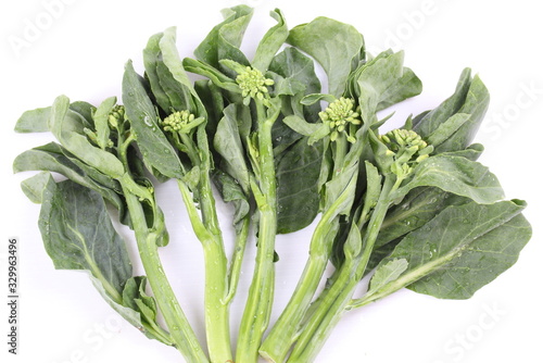 Green kale on a white background.