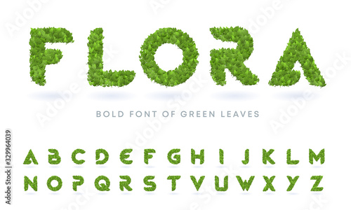 Simple bold green leaves textured natural font. Realistic garden letters set. Business logo design template bundle.
