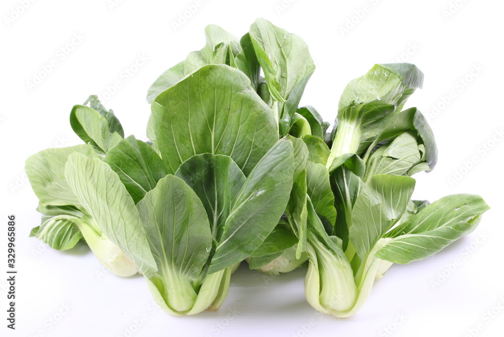 Chinese cabbage vegetable on a white background.
