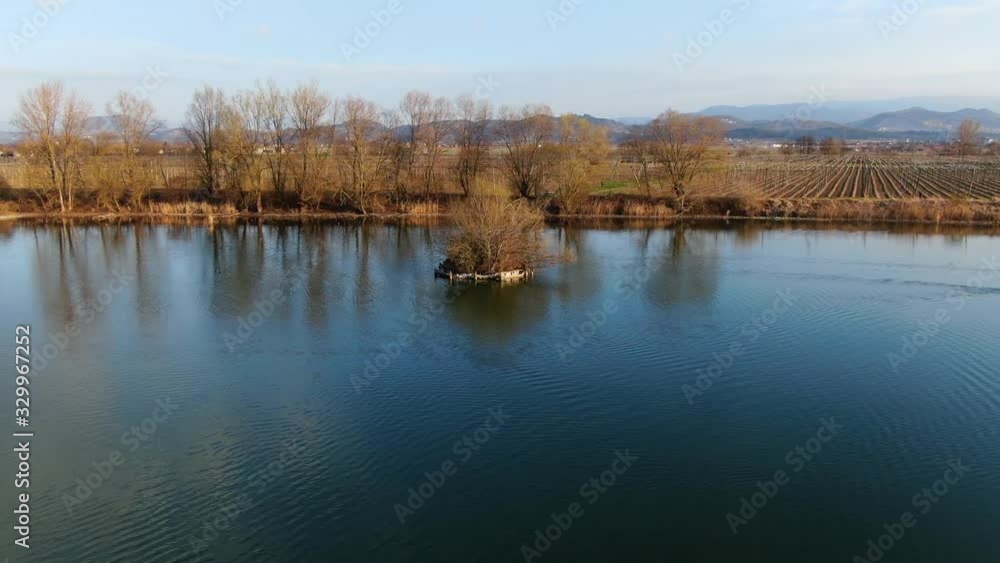 Ribnik Vrbje fishing lake with bare tree island in eastern Slovenia during golden hour, Aerial circle around wide shot Ribnik Vrbje fishing lake with bare tree island in eastern Slovenia during golden hour, Aerial circle around wide shot