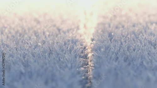 Extreme Close-Up Of White Frost On A Sunny Winter Day. photo