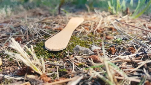 ants carrying twigs and straws around a Popsicle ice cream stick and occasionally roaming along photo