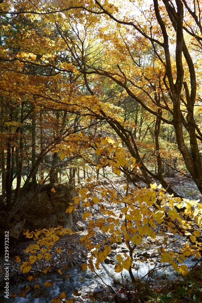 Japanese autumn mountains and river Japanese autumn mountains and river