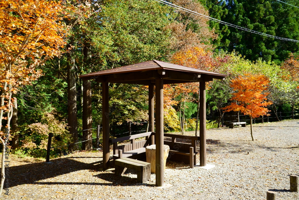 Japanese autumn forest and pavilion