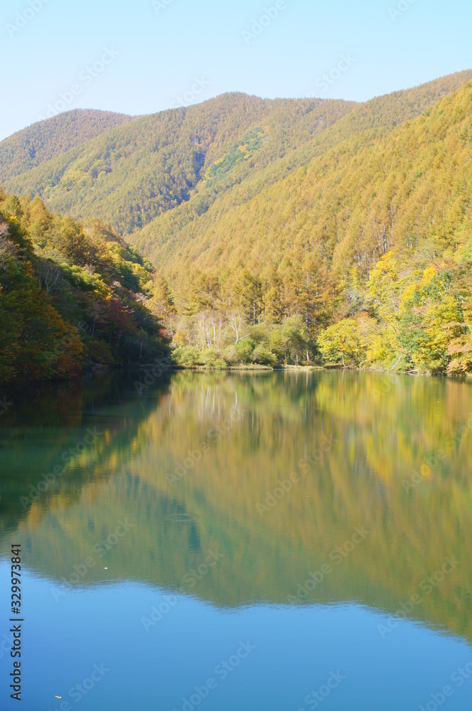 Japanese autumn forest and dam lake Japanese autumn forest and dam lake