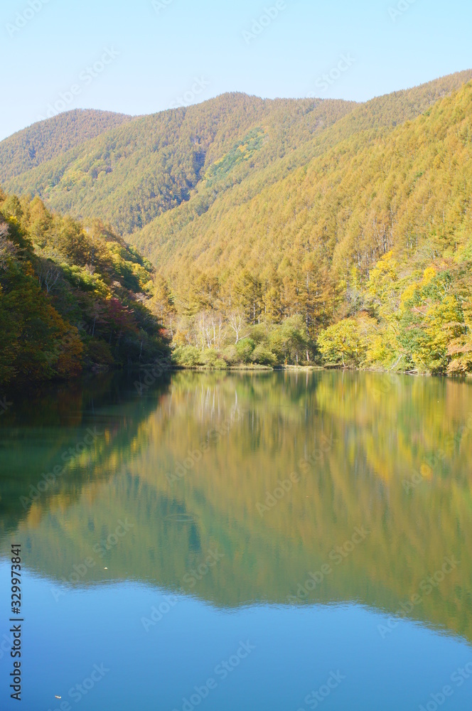 Japanese autumn forest and dam lake