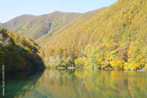 Japanese autumn forest and dam lake
