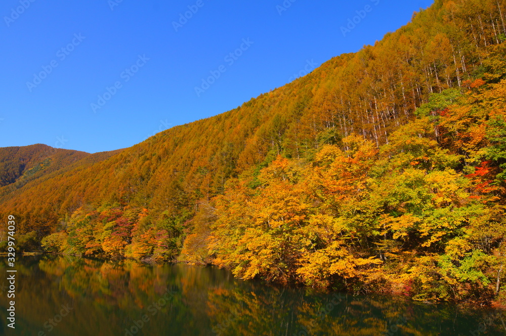 Fototapeta premium Japanese autumn forest and dam lake
