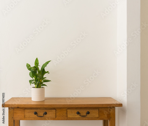 Green leafy houseplant in white pot on oak side table against white wall