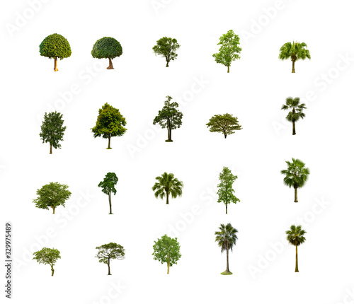 Twenty trees isolated on white background