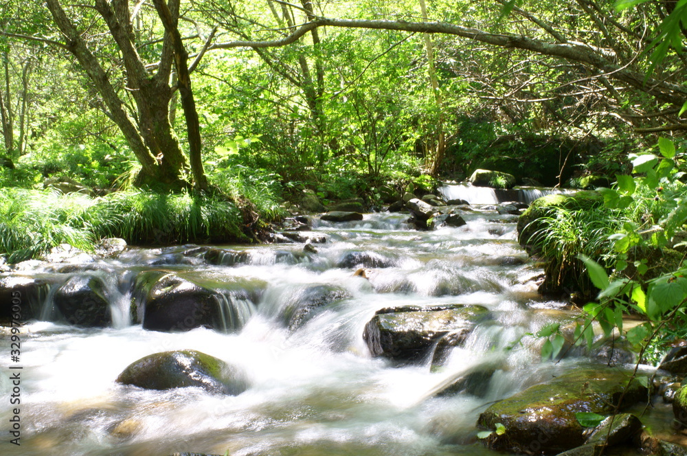 Japanese forest and mountain stream water Japanese forest and mountain stream water