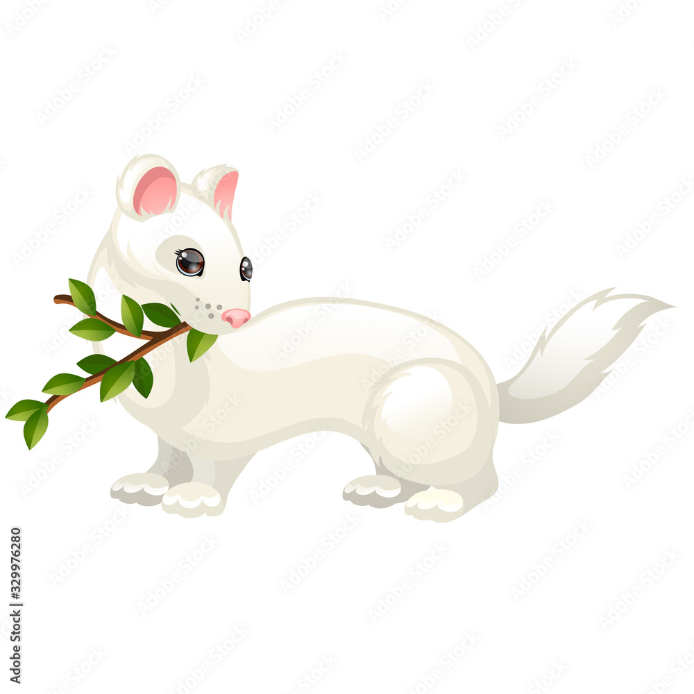 Least Weasel or Mustela nivalis and twig with leaves isolated on white background. Vector cartoon close-up illustration. Least Weasel or Mustela nivalis and twig with leaves isolated on white background. Vector cartoon close-up illustration.