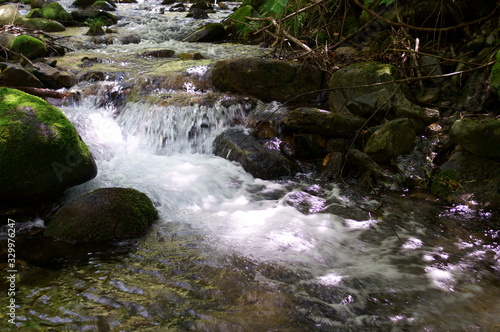 Japanese mountain stream and moss