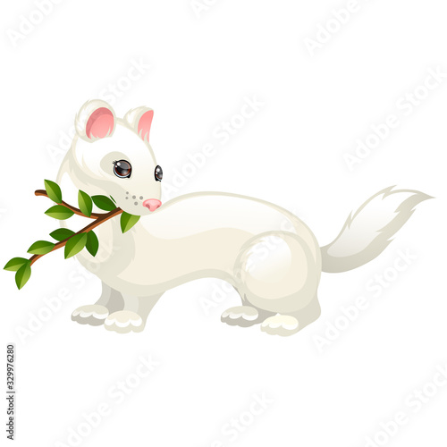 Least Weasel or Mustela nivalis and twig with leaves isolated on white background. Vector cartoon close-up illustration.