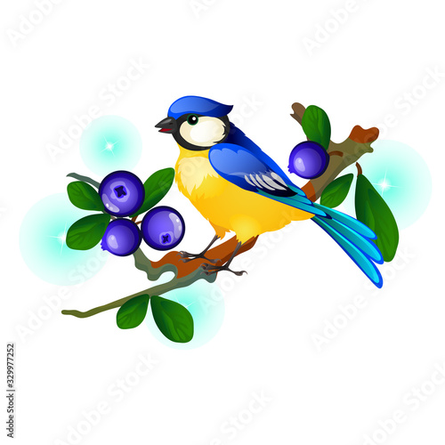 Blue and yellow bird sitting on a branch with blue berries isolated on white background. Vector cartoon close-up illustration.