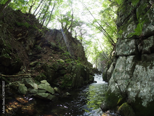 Japanese forest and mountain stream water