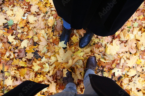 autumn leaves on the wall