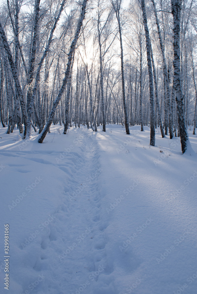Obraz premium SONY DSC
