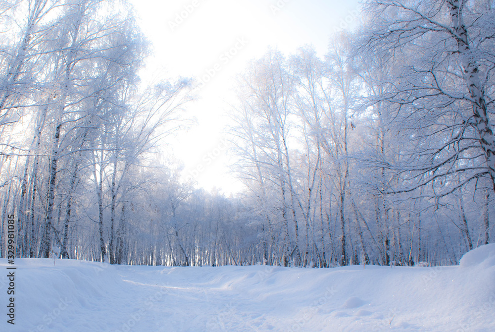 Obraz premium SONY DSC