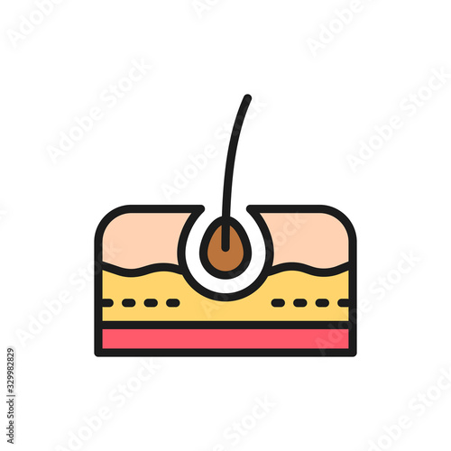 Hair bulb, skin layers, follicle, epidermis flat color line icon.