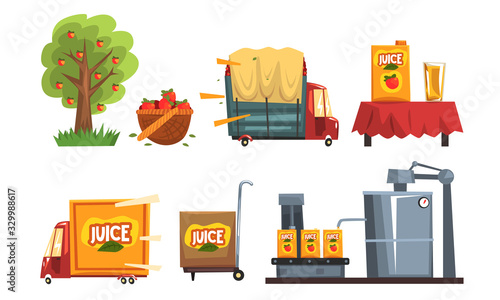Industrial Production of Apple Juice, Production Stages from Orchard to Table Vector Illustration on White Background