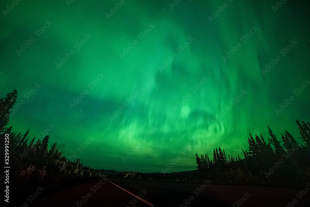 Aurora Borealis Northern Lights Yukon Territory Canada during fall, autumn with green bands lighting up the north sky near Whitehorse