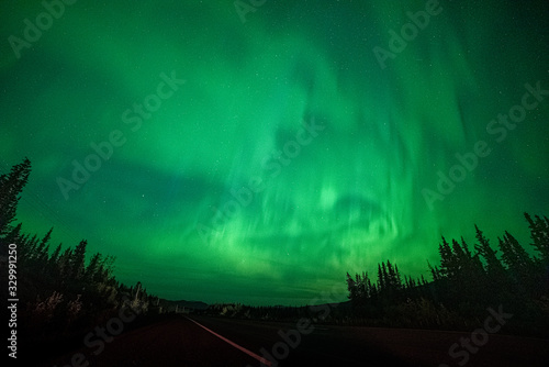 Aurora Borealis Northern Lights Yukon Territory Canada during fall, autumn with green bands lighting up the north sky near Whitehorse