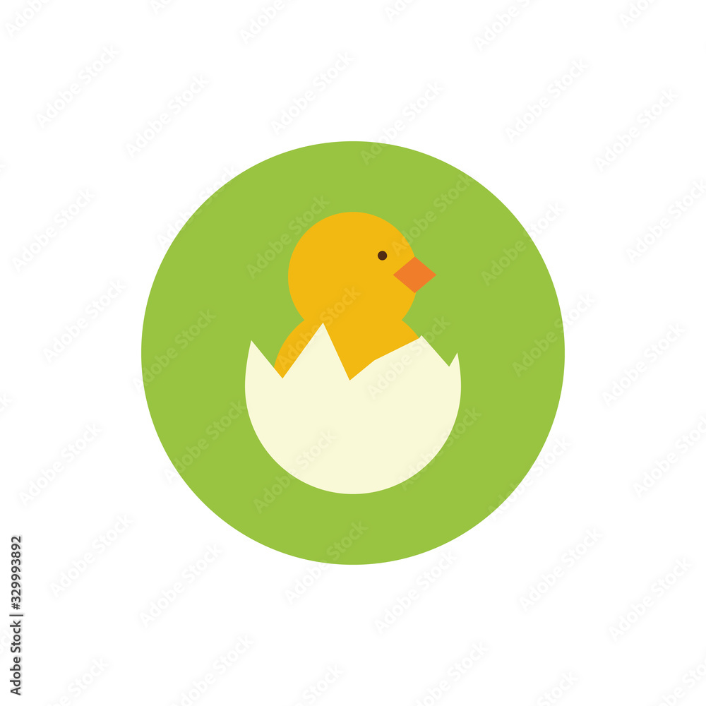 Fototapeta premium cute little chick in eggshell spring block and flat style