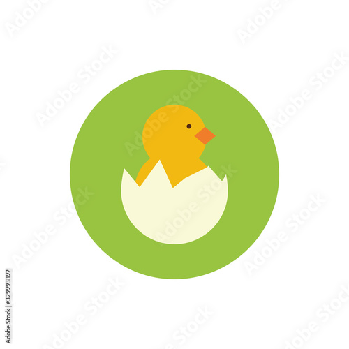 cute little chick in eggshell spring block and flat style