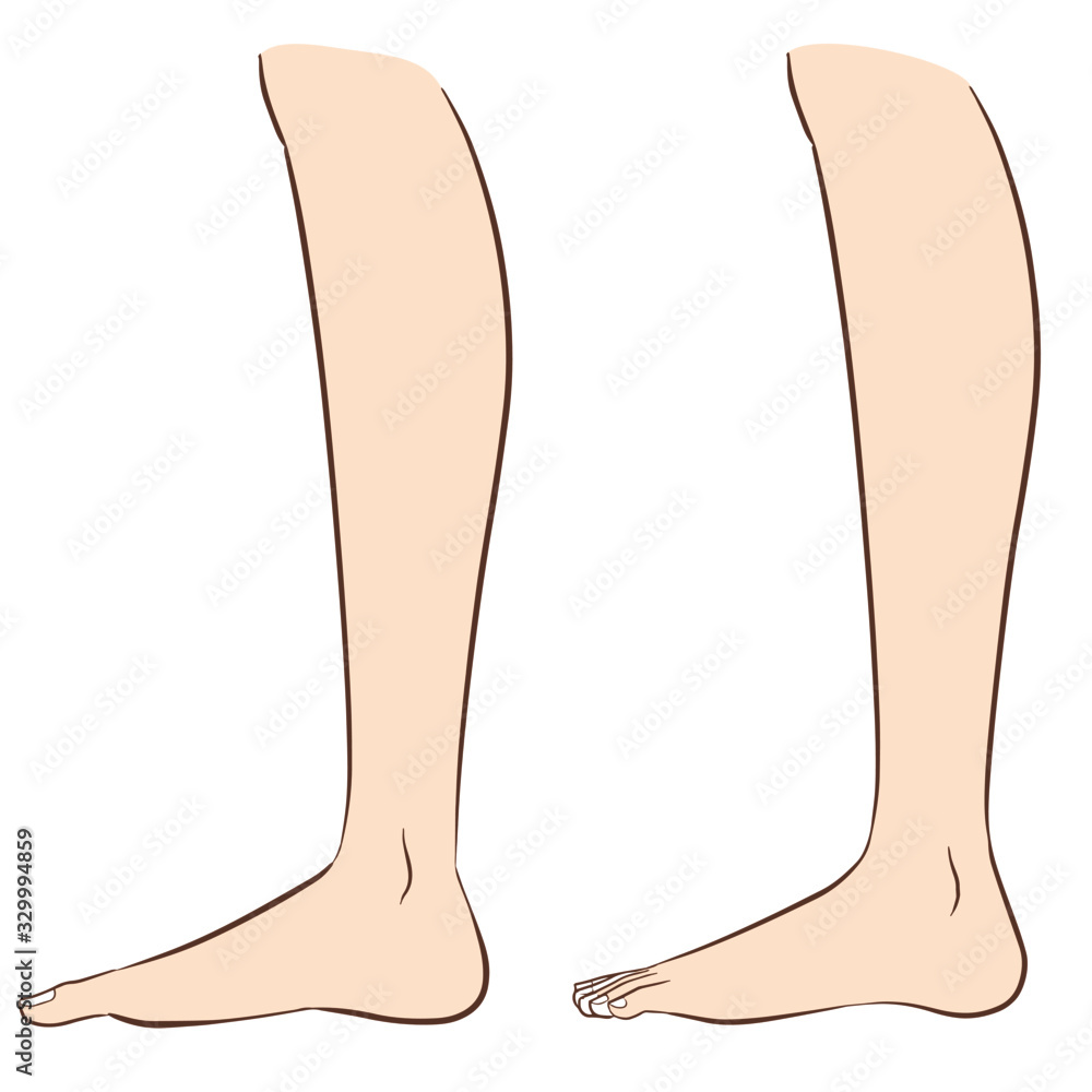 Human body parts. Vector illustrations of human feet. Stock Vector ...